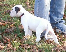 F2 11-28-09sm.JPG (253x200; 26826 bytes)