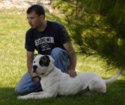 American Bulldog Breeder in  Michigan