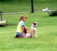American Bulldog Breeder in  Michigan