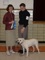 American Bulldog Breeder in  Michigan