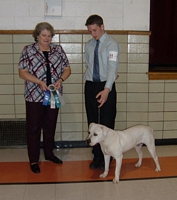 American Bulldog Breeder in  Michigan
