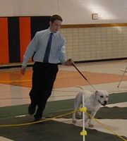 American Bulldog Breeder in  Michigan