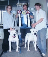 American Bulldog Breeder in  Michigan