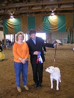 American Bulldog Breeder in  Michigan