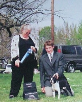 American Bulldog Breeder in  Michigan