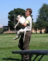 American Bulldog Breeder in  Michigan
